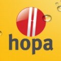 ikona